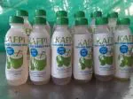 KAFPI Tender Pure COCONUT WATER - Pack of 12 (200 ML x 12)
