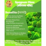 Shehri Kisaan Dried Sphagnum Moss Grass / Peat Moss for Lush Lawn & Gardens | Enhances Water Retention | Perfect for Propagation | Ideal for Mulching (10 Kg)