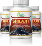 Prirupam SHILAJIT CAPSULE -90 (Pack of 1)