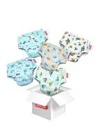VParents Padded Underwear for Babies and Toddlers with 3 Layers of Cotton Padding Potty Training Pull Up & Diaper-Free Time Pack of 5 (1-2 years)(assorted color/prints may vary)