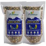 Farmbean Premium Canary Seed Select, Fortified with Spirulina, Bird Food for Canaries, Finches & Waxbills, 900 g
