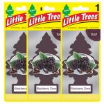 Little Trees Blackberry Clove Hanging Car Air Freshener (Pack of 3)