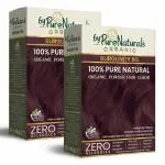 byPureNaturals 100% Organic Powder Burgundy Hair Color for Men & Women 120 Gram pack of 2