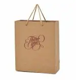 PPJ THANK YOU PARTY (10 Pcs.) PAPER CARRY BAG, 10 Inch X 12 Inch X 4 Inch RETURN GIFT/HAPPY BIRTHDAY/RETURN GIFTS/GIFTS/GIFT BAGS/GIFT COVERS (Pack of 10)