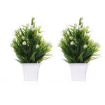 Chaudhary Flower Plastic White Wild Artificial Flower with Pot 7.5 inch R07-X11C-D1W-R2W-C2 Pack of 2