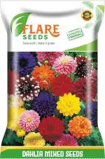 Flare Seeds Flower Dahlia Mixed Seed 50 Per Packet