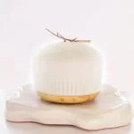 Twig Premium Ultrasonic Diffuser/Essential Oil Diffuser Solid Wood Base Cool Ultrasonic Mist Diffuser