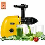 SOLARA Slow Juicer Cold Press Juicer | Easy Clean Slow Juicer Cold Pressed Juice Extractor | Slow Juicer for Fruits & Vegetables | 2 Speeds + Reverse Function Masticating Juicer | Recipes Incl | Mango