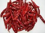 CHATOKDE Mathania Red Chilli (Lal Mirch Sabut) Stemless, 100g