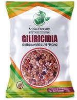 SRI SAI FORESTRY Gliricidia Sepium Tree Seeds for Green Manure Live Fencing of Agriculture Lands