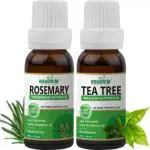 essancia Pack of 2 Essential Oils Rosemary Oil & Tea Tree Oils Combo Pack-For Improves Hair Growth, Uplifts Mood, Skin Cleanser, Foot Care, Tooth Care, Skin Softener & Aromatherapy. 100% Pure, Natural, Undiluted, & Therapeutic Grade Essential Oils.(30 ml)