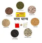 BHAKTI 2 SHAKTI MAKING WORSHIP SPECIAL - Sapt Dhanya for pooja (500 gram each) | 7 Dhanya | Seven Grains for worship | Moong Chawla Moth Jawar Gehu Bajra Udad | Saptdhanya with kumkum supari akshat