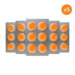 Arogya Tulsi Lozenges (Ginger Mint Flavour) 6 Tab (Pack of 5) | for Cough | Sore Throat | Seasonal Cough | Quick Relief from Itchy Throat - 6 Tab (Pack of 5)