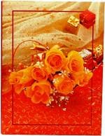 CSN-CUTE SHOPPING NETWORK NATRAJ SERIES PORTABLE (MINI) PHOTO ALBUM 5X7 INCH