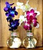 Round Glass Vase | For Money Plant | Lucky Bamboo Plant | Elegant Ball Shaped Vase | Flower Pot | Set of 2 vases 12X10 Cm Clear