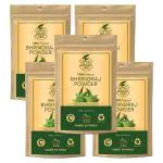 Khadi Ark 100 % Pure Natural Bhringraj Powder for All types of Hair (500 g)