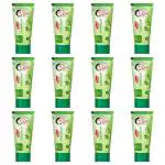 Vetoni - Evani Pure Cucumber & Tulsi Fairness Cream For Dry Skin 60gm( Pack of 12)
