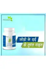 Arlak JC Best 30 Capsules for Bone, Joint and Muscle Care (Pack of 1)