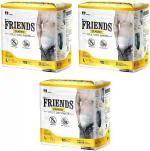 Friends Classic Adult Diapers - 30 Pieces, L (Pack Of 3)