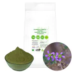 Nutrixia Dhamasa Powder Churna-Fagonia Cretica-Dhamaso-Damahan 950 Gms