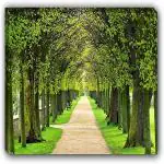 Art Factory Vastu Endless Path Painting Canvas Strecher Canvas 12 inch x 18 inch Painting (Without Frame)