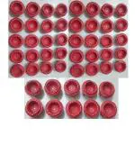 D Viswa 50 PC Desi Cowdung Deepak Small Red / Vilakku / Diya for Diwali Pooja , Deepawali Puja, Navratri, Yajna / Diya for Puja