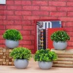 Dekorly Artificial Plants & Flowers with Pots for Indoor Home and Office Decor