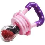 Teeny Weeny Baby Soother BPA-Free Silicone Food Nibbler for Fruit and Veggie with Rattle Handle (Multicolour, 0-24 Months) (Pack of 1) (Pink)
