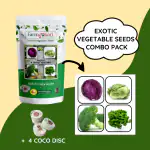 Farmgokart | RED CABBAGE, LETTUCE ICEBERG, BROCCOLI & PARSLEY SEEDS |Combo Pack Of 4 Exotic Vegetable Seeds |VC-21