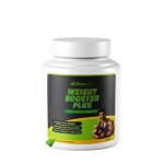 GOMEDH AYURVEDA Weight Booster Plus Powder