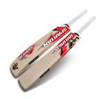 SPARTAN Sikander Eco Kashmir Willow Bat Size-6