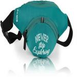 BIRJIS WAIST POUCH BAG WAIST POUCH  (Green)