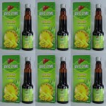 DEE INDIA HERBALS Liv-O-Zyme Syrup Digestive Enzyme (225 Ml) (Pack of 6)