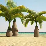 GREEN WORLD Drought Tolerant Bottle Palm Tree 150 Seed