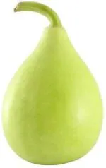 Tamransh Ssplants Bottle Gourd Seed, 20 Seeds