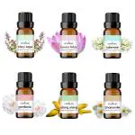 VEDANUM Scented Essential Oil for Aromatherapy and Oil Diffuser 15 ml (Pack of 6)