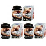 DEE INDIA HERBALS 100% Natural Ayurvedic Whey Protein Powder - Superior Muscle Mass, Energy & Growth (500gm Each, Pack of 3)