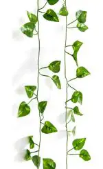DSY Green Plastic Artificial Fancy Wall Hanging Money Plant, 78 Inch (Pack Of 2)