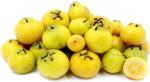 NSKON Imported Organic Guava Plant Seed, Mini Sweet Seed (Pack Of 80)