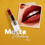 SOLT MATTE FINISH KISS PROOF LIQUID & CRAYON LIPSTICK