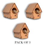 Puzzleboxx Do it Yourself Birdhouse Pack of 3 for Small and Tiny Sparrows Bird Hanging on Balcony, Garden or Outside, Wall Mounting, Tree Mounting & Free Standing