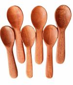 Fabartistry Pure Neem Round Shape Masala Spoons (Wood, 3 Inch)Pack of 6