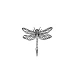 SIMPLY INKED Dragonfly Temporary Tattoo, Designer Tattoo for all (Dragonfly tattoo)