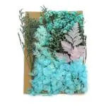 Hasthip Purple Dried Flowers For Resin Art Decoration