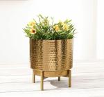 SABRI METAL Indoor Planter for Table Top and Floor | Living Room Drawing Room Balcony Office | Decoration Ideas for Plants| Size Small Golden Colour (Plants not Included)