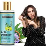 Top Quality Store Anti-Dandruff Shampoo/ Anti-Dandruff Hair Cleanser Shampoo