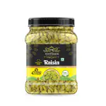 PAVITRANSH DRY FRUITS Premium Seedless GREEN Raisins 500g (500gm) | Amazing Quality Green Kishmish | Nutritious Dried Grapes | Rich in Iron & Vitamin B | Healthy Sweet Treats