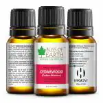 Bliss of Earth Pure & Natural Cedarwood Essential Oil for for Skin, Hair and Aromatherapy, 10ML