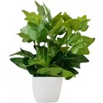 Green Plant indoor MoneyP002 Bonsai Artificial Plant with Pot (7 cm, Green)