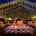 Homehop Solar Outdoor String Lights 300 Led for Home Garden Balcony Terrace,Lawn Wall Waterproof Rechargeable Decorative Lamp Diwali Decoration Item (6M,Warm Color)